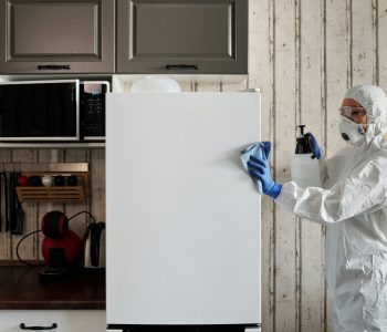 pexels-matilda-wormwood-4099264 pexels-matilda-wormwood-4099264